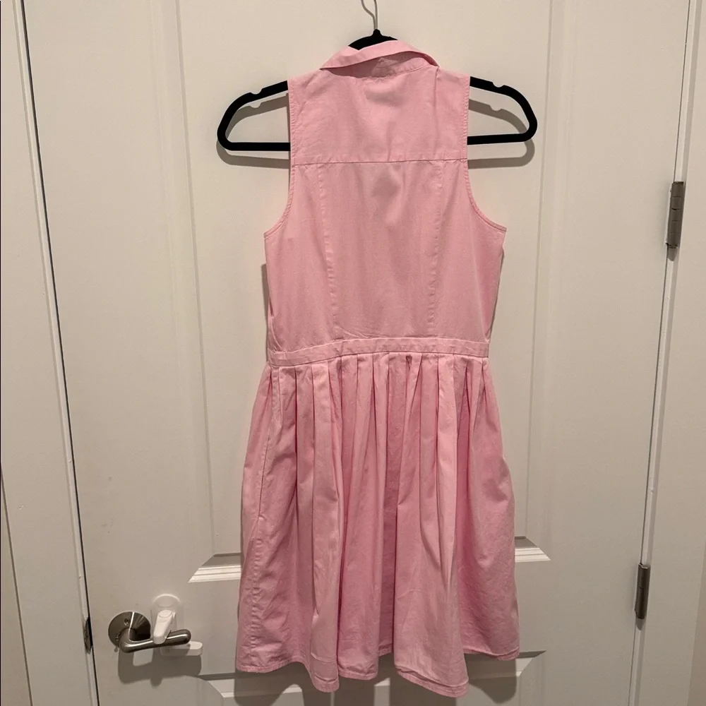 Ann Taylor Pink Button-Down A line dress - Picture 4 of 4